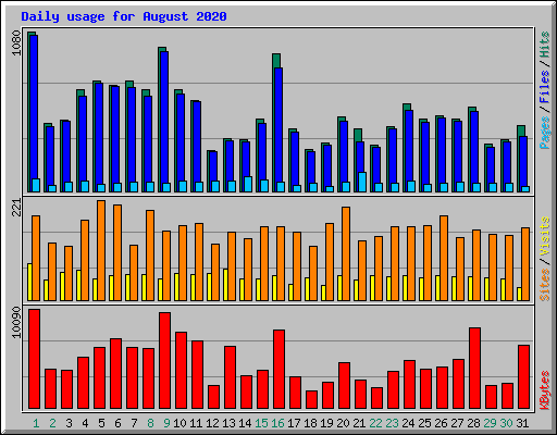 Daily usage for August 2020