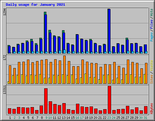 Daily usage for January 2021