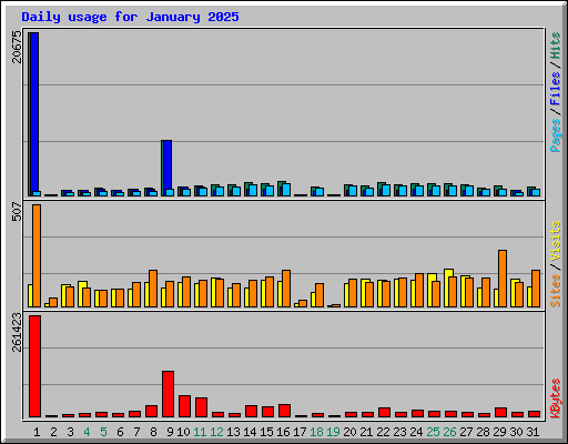 Daily usage for January 2025