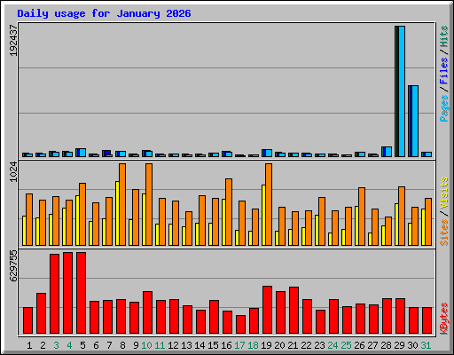 Daily usage for January 2026