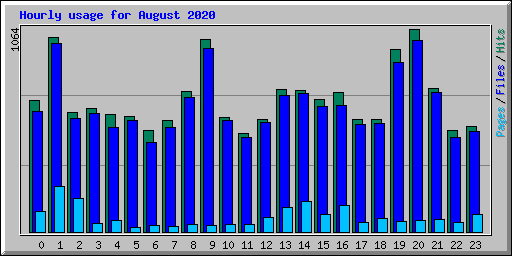 Hourly usage for August 2020