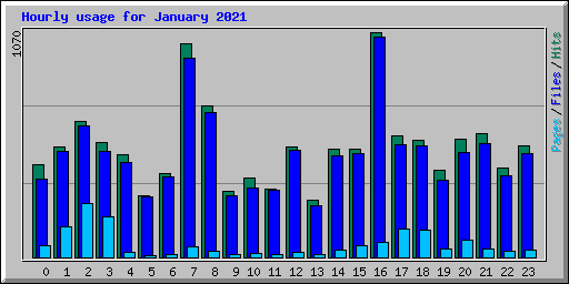 Hourly usage for January 2021