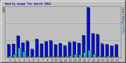 Hourly usage for March 2021