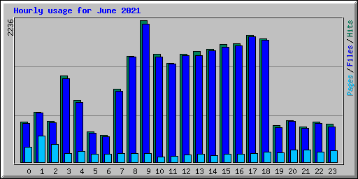 Hourly usage for June 2021