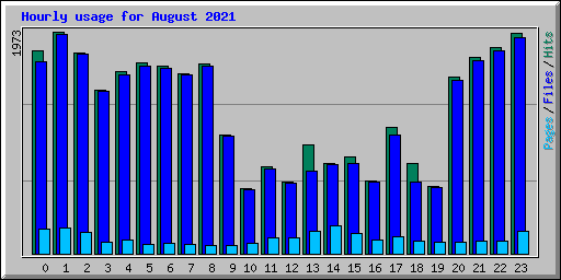 Hourly usage for August 2021