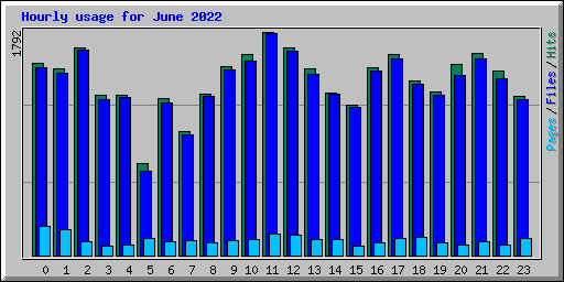 Hourly usage for June 2022