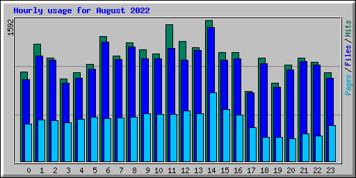 Hourly usage for August 2022