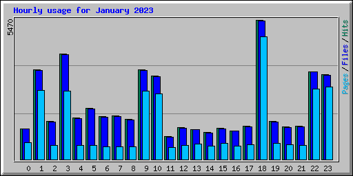 Hourly usage for January 2023