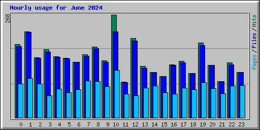 Hourly usage for June 2024