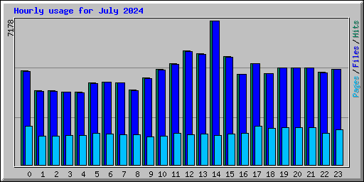 Hourly usage for July 2024