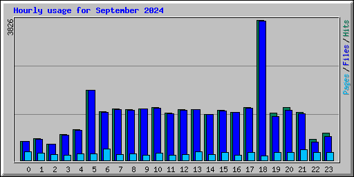 Hourly usage for September 2024