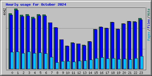 Hourly usage for October 2024