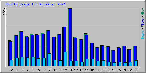 Hourly usage for November 2024