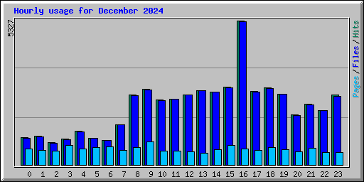 Hourly usage for December 2024