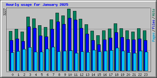 Hourly usage for January 2025