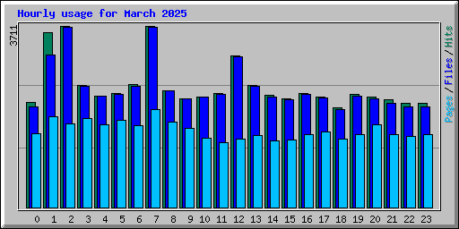 Hourly usage for March 2025