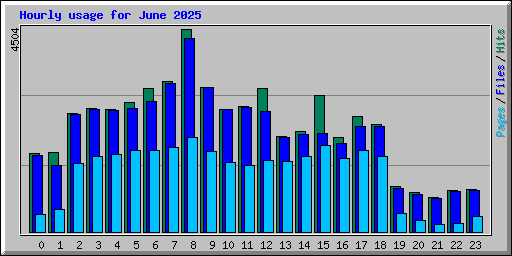 Hourly usage for June 2025