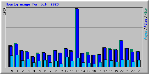 Hourly usage for July 2025