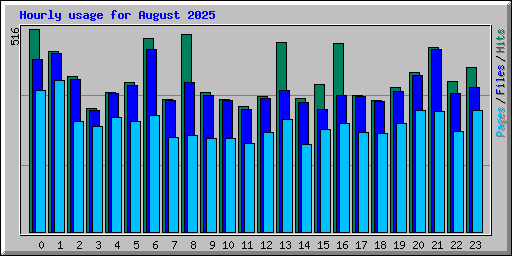 Hourly usage for August 2025