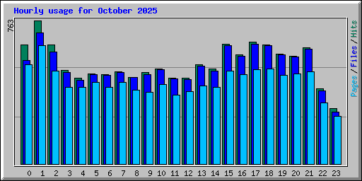 Hourly usage for October 2025