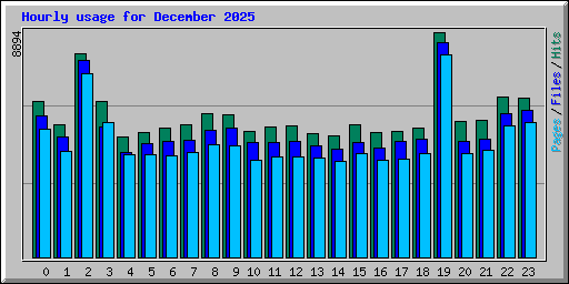 Hourly usage for December 2025