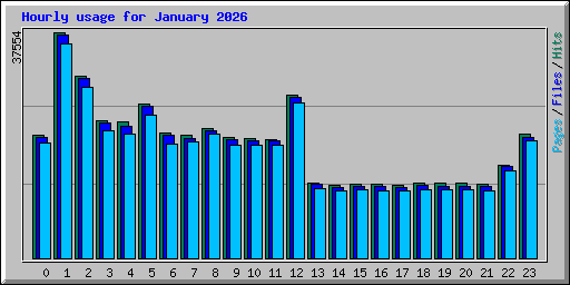 Hourly usage for January 2026