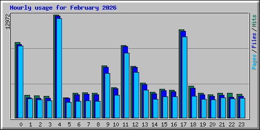 Hourly usage for February 2026