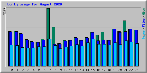 Hourly usage for August 2026